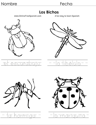 OnlineFreeSpanish.com - Los Bichos - Bugs - Páginas para Colorear ...